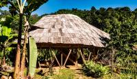Blue Dot - jungle eco hostel - B&B