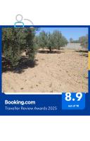 l'olivier - Bed and Breakfast