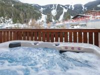 Gipfelblick Chalet Conny - Ferienwohnung Schmitten