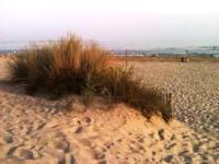 Vittoria Immobilier 8 - REGLEMENT SUR PLACE - chèques vacances acceptés - B&B La Grande-Motte