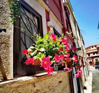 Trendy Sweet Home - Chambres d’hôtes Terlizzi