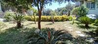 B&B Carpe Diem Domus - B&B Ischia