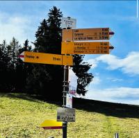 Chalet d'Alpage à Prafandaz - Leysin - B&B