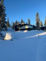 Sjusjøstua by Norgesbooking - cabin close to cross country trails - B&B Ringsaker