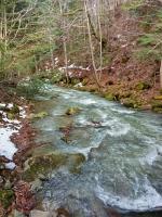 Szumidomki strefa z jacuzzi sauna widok na potok las - Chambres d’hôtes Zawoja