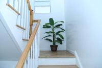 Spacious 3 Bedroom, 15 Min to EWR Airport and Parks - B&B Newark
