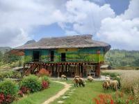 Kale Farm Bắc Hà - Ferienwohnung