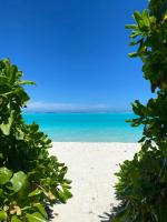 Paradise Palms - Guest House - Chambres d’hôtes Thoddoo