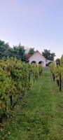 Luxury Vineyard Retreat with Private Jacuzzi - B&B Szigetvár