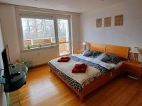 Appartamento con 2 Camere da Letto