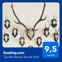 Magic Forest Design Apartment, 65 Zoll TV, Waschtrockner, beste Lage, am Markt - Chambres d’hôtes Gera