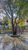 BK's Villa Royal at Kensville Golf & Country Club - Chambres d'hôtes Ahmedabad