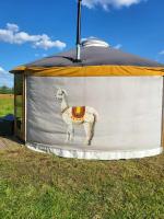 Zagroda Zabłocie Jurty - Bed and Breakfast Zabłocie