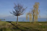 Residence Villa Viola fronte lago - B&B