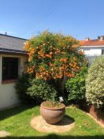Maison avec jardin clos La Beaujoire - Chambres d’hôtes