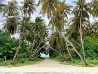 Bahee Residence - Chambres d’hôtes Kulhudhuffushi