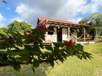 Superbe bungalow et son jardin tropical - B&B Les Abymes