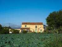 Suite Olivos - B&B Santa Brígida