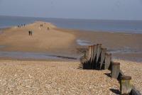 The Apple Tree - B&B Chestfield