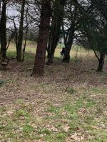 3 Beechwood at Thoulstone Park - Bed and Breakfast Westbury