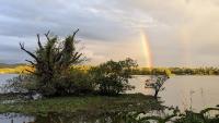 Lake Front - Bed and Breakfast Ibbagamuwa