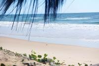 Licuri Praia de Algodões à poucos passos do mar. - B&B