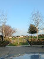 Hidden Gem in Katy near Houston - Ferienwohnung Katy