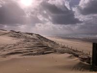 LE DROP IN - T2 au RDC avec terrasse à 200m de la plage - Well located apartment for surfers - B&B Mimizan-Plage