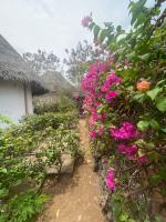 Red Sunshine Villa B&B - B&B