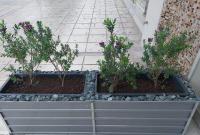 MyCOIGN - B&B Patrasso