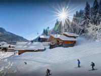 Chalet Timan - OVO Network - B&B