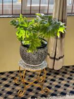 golfutar suits - B&B Dharampur