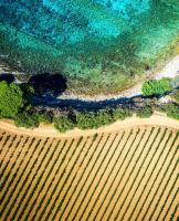 La Cassy - Sleep in Cassis - B&B