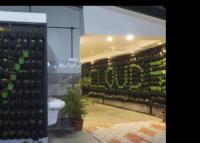 Cloud Five - Chambres d’hôtes Munnar