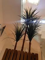 Maison de paon - surfstay - relaxstay - Chambres d’hôtes Tamraght Ouzdar