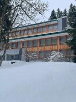 Amba Chalet Famiglia Cima - Trilocale 6 posti letto - Ferienwohnung Mezzana