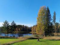 Åviken Cabin - Bed and Breakfast Ängesträsk