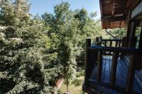 Forest View Chalet - Bed and Breakfast Pietriceaua