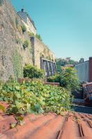 Appartement avec terrasse - B&B Lione