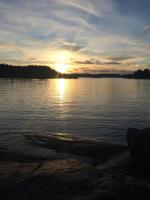 Cozy guesthouse by the sea - Chambres d’hôtes Saltsjöbaden