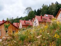 Ferienhaus in Schierke mit Garten - Ferienwohnung Schierke
