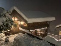 Chalet Rayon de Soleil Gryon Villars - Ferienwohnung