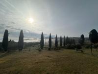 Il Cammino - B&B