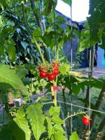 Flor de Canela 1 - B&B