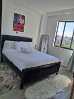 Beautiful one bedroom Alina Ridge Kileleshwa - B&B Nairobi