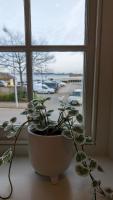 The Nest - One Bed Apt with Sea Views - B&B St Brelade