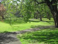 Elegant New Town Georgian city centre flat - B&B Edimburgo