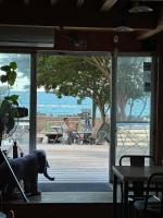 富士山も見える静かな港町用宗のオーシャンビューゲストハウスRomey - B&B Shizuoka