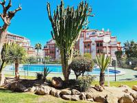 House with palm tree - B&B Torrevieja