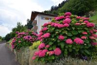 Villa Waldrand with Merano view - Bed and Breakfast